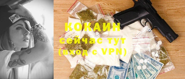 дмт Абаза