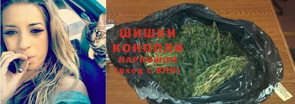 дмт Абаза