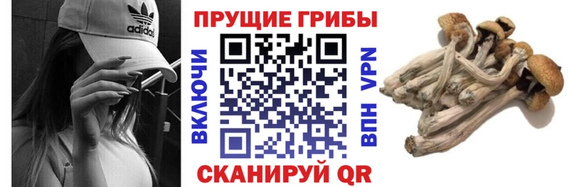 Псилоцибиновые грибы ЛСД  Братск 