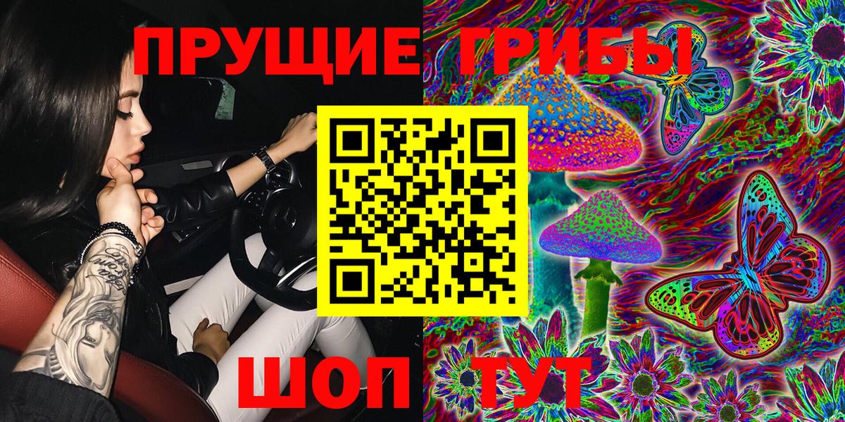 Галлюциногенные грибы Magic Shrooms  Псилоцибиновые грибы Cubensis  Братск  Вход с VPN 